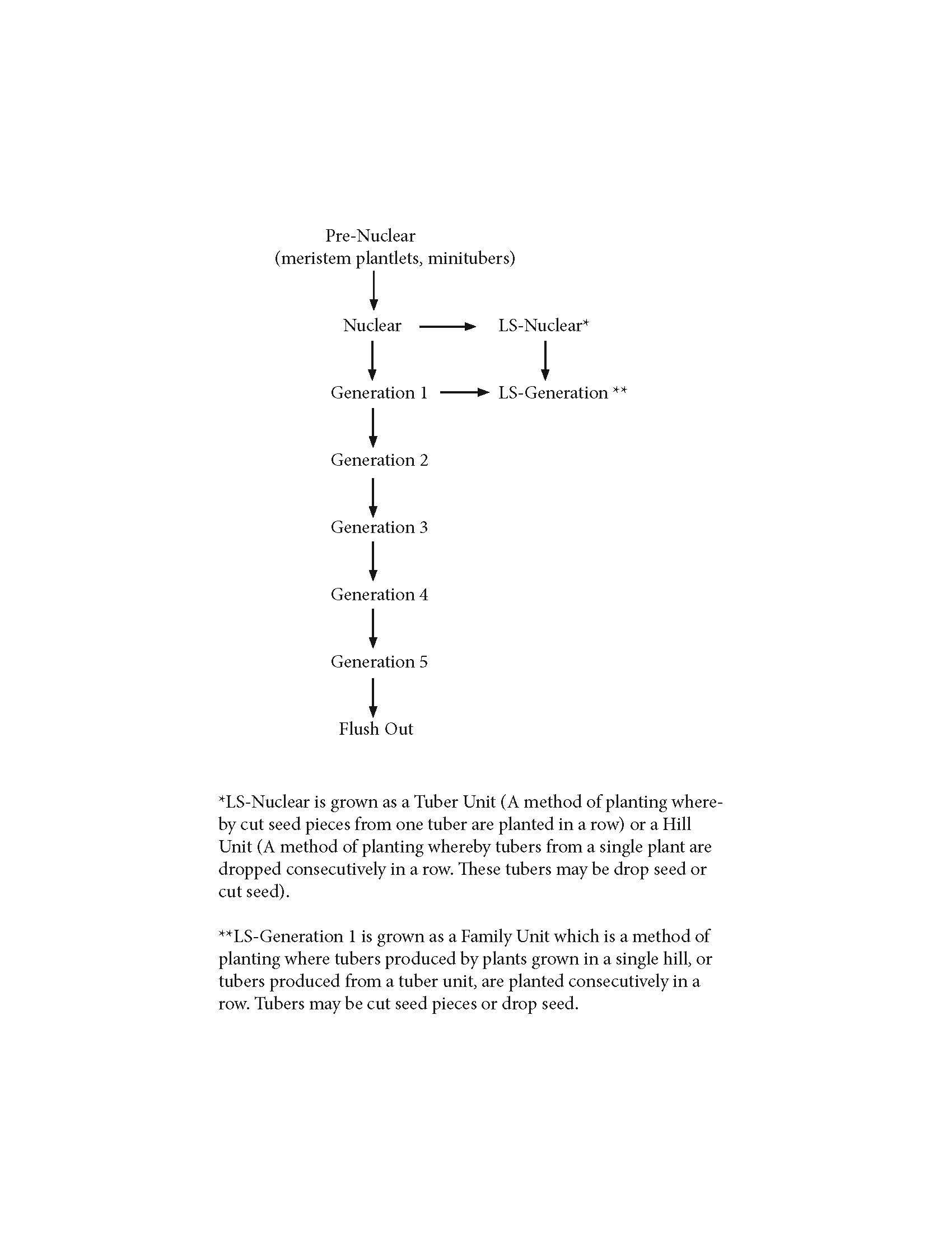 A flowchart explaining the generations