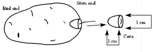 How to core a tuber